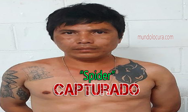 El Salvador: Arrestan a experimentado pandillero de la 18S con multiples delitos desde el 2001 / alias "Spider"