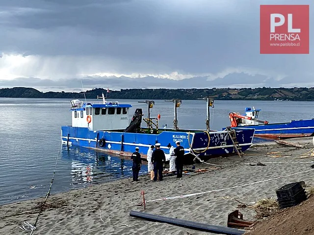 ⚫Fatal accidente laboral en la isla Quehui