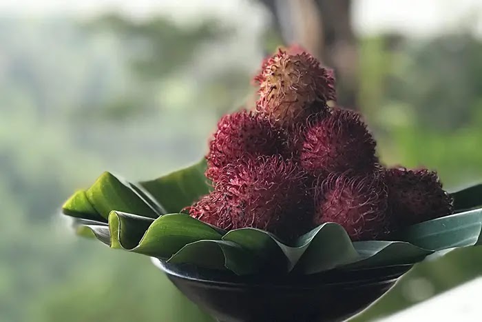 Manfaat rambutan untuk ibu hamil dan kesehatan