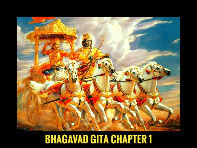 Bhagavad Gita Chapter 1 Verse 11 With Meaning
