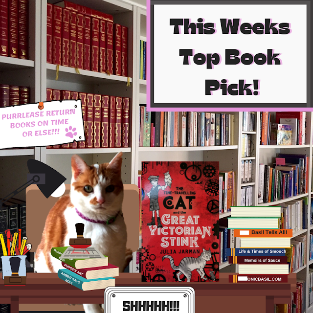 Amber's Book Reviews #182 - What Are We reading This Week ©BionicBasil® The Time Travelling Cat by Julia Jarman