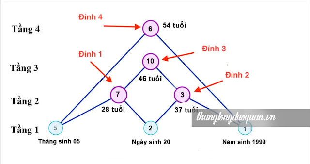 than-so-hoc-kim-tu-thap-la-gi-cach-tinh-4-dinh-cao-doi-nguoi