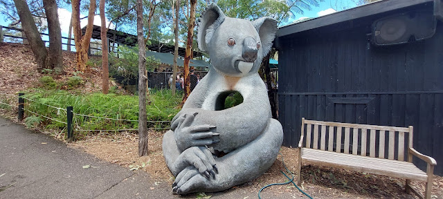 The BIG Koala at the Australian Reptile Park in Somersby, NSW