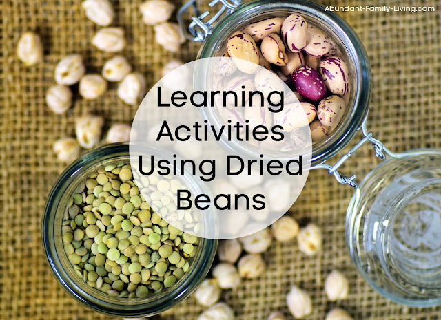 Learning Activities Using Dried Beans