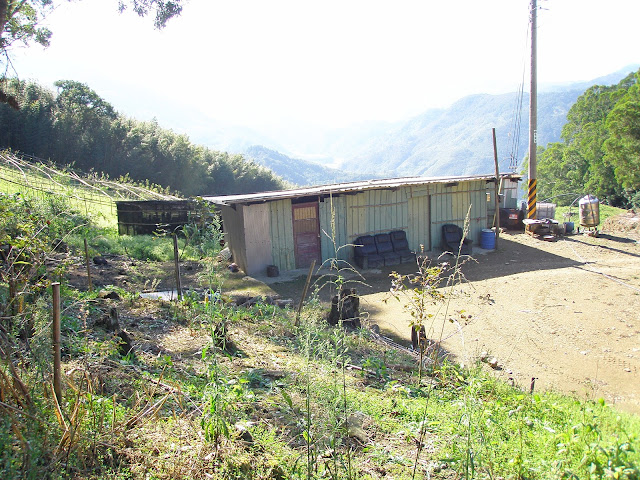 水田山北峰登山口