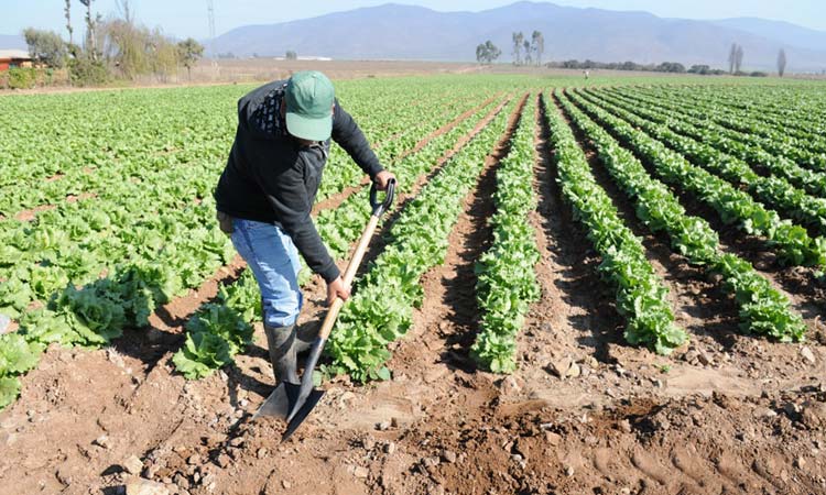Mejoras en la inversión agroproductiva de Venezuela