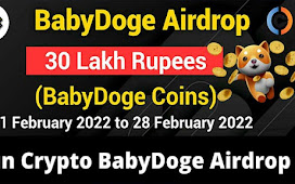 SUN CRYPTO BabyDoge Airdrop of 40K USD Free