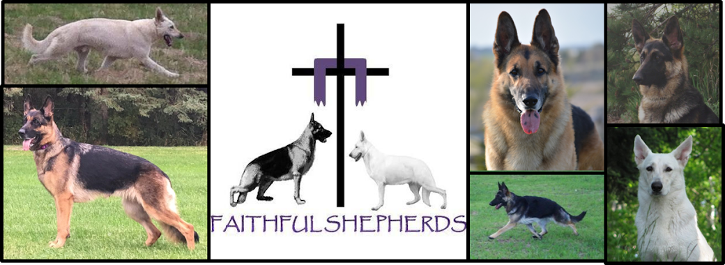 Faithful Shepherds