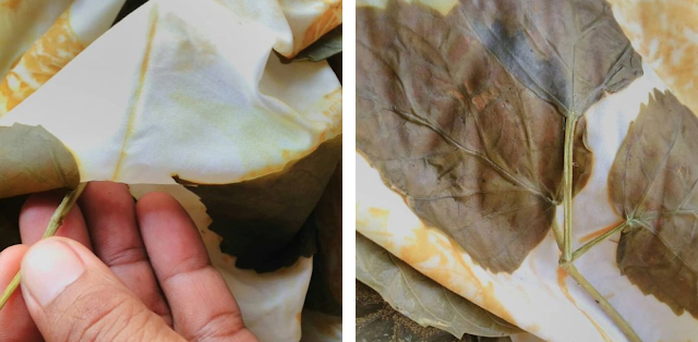 Kain ecoprint dengan daun lanang