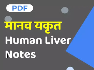 manav yakrit hindi notes pdf