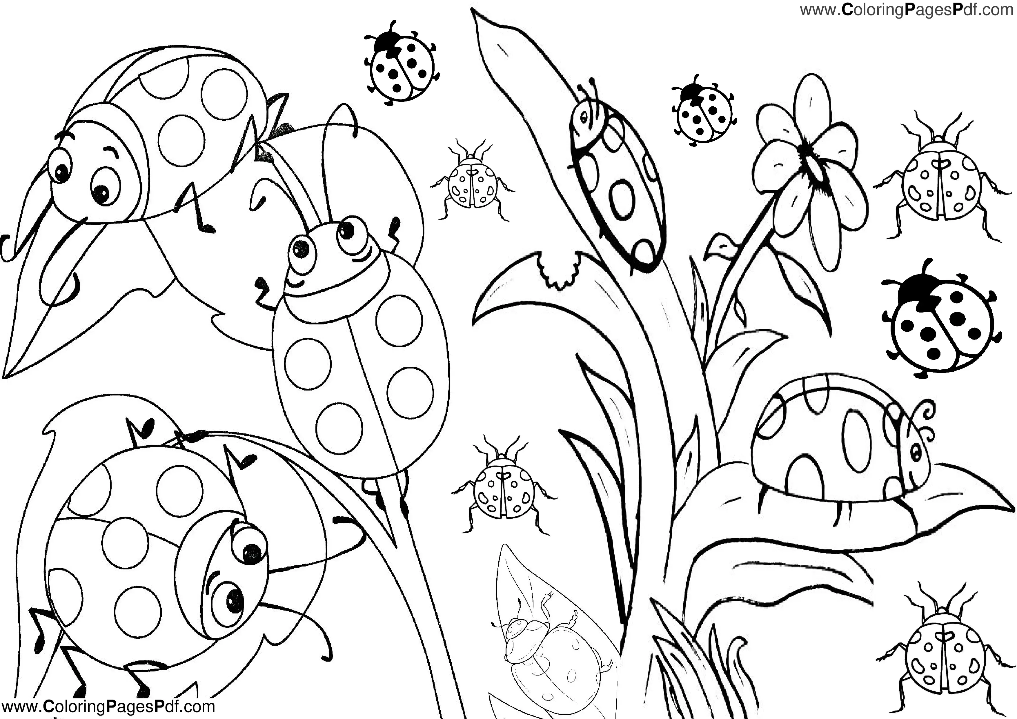 Ladybug coloring page PDF