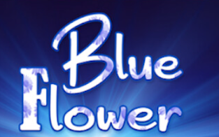 BLUE FLOWER DESIGN