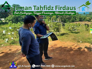 Salah seorang calon pembeli kebun buah Taman Tahfidz Firdaus