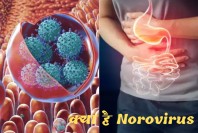 क्या है Norovirus-किसके लिए घातक है Norovirus-जानिए इसका इसका कारण,लक्षण और निवारण 