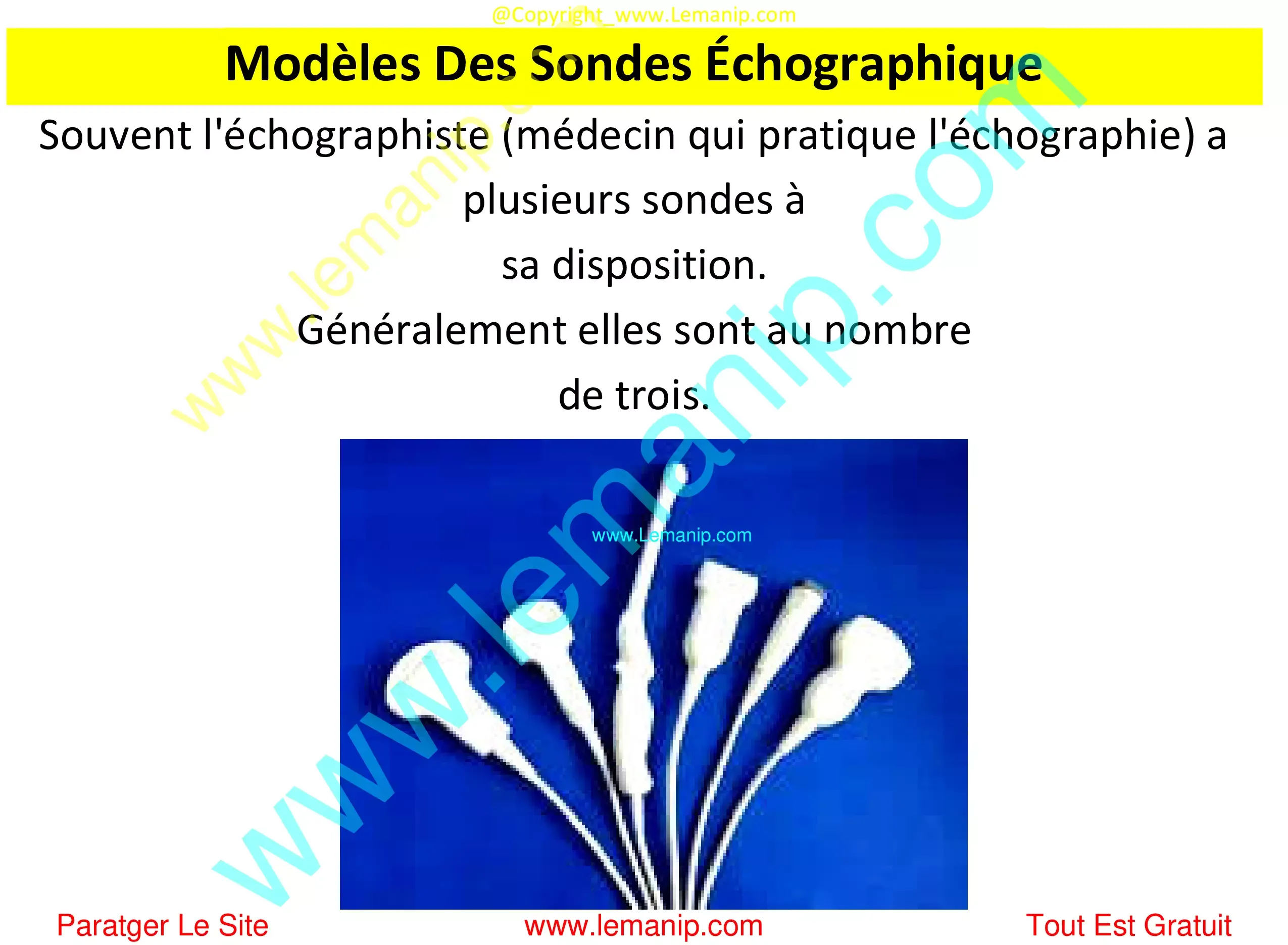 Modèles Des Sondes Échographique