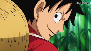 ワンピースアニメ 897話 ワノ国編 | ルフィ かっこいい | ONE PIECE Monkey D. Luffy