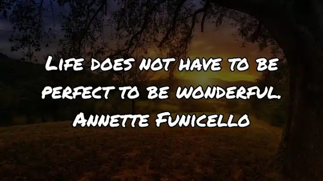 Life does not have to be perfect to be wonderful. Annette Funicello