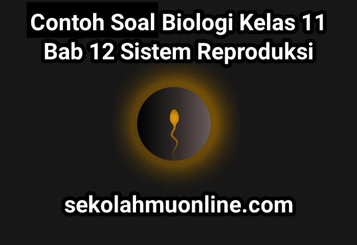 Soal Biologi Kelas 11 Bab 12 Sistem Reproduksi lengkap dengan kunci jawaban dan pembahasannya