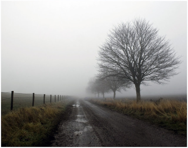 Farm road along the old sea bank between Butterwick and Leverton, Lincolnshire UK