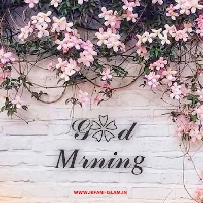 Good-Morning-Flowers-Images