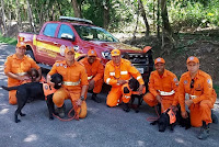 BOMBEIROS MILITARES DO CANIL