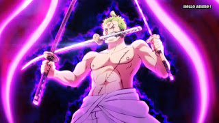 ワンピースアニメ 893話 ワノ国編 | ONE PIECE ロロノア・ゾロ 龍巻き ゾロ十郎 Roronoa Zoro