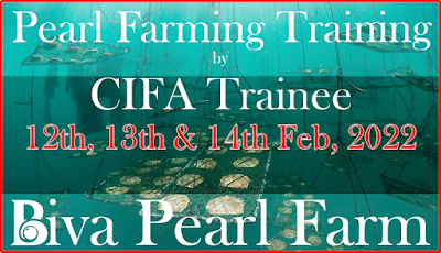 Pearl-Farming-Training-by-CIFA-trainee