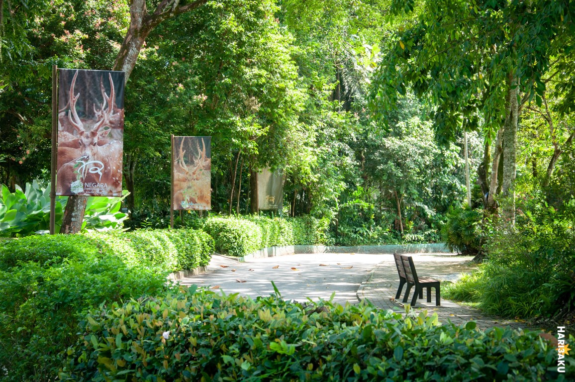 Sebuah laluan di Zoo Negara