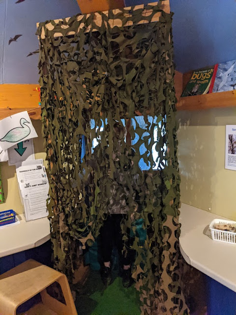 11 Reasons to Visit Angus  - Children's Bird Hide at Montrose Basin Visitor Centre