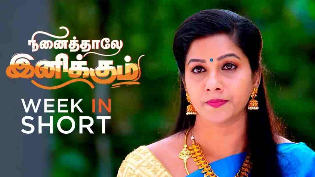 Ninaithale Inikkum serial