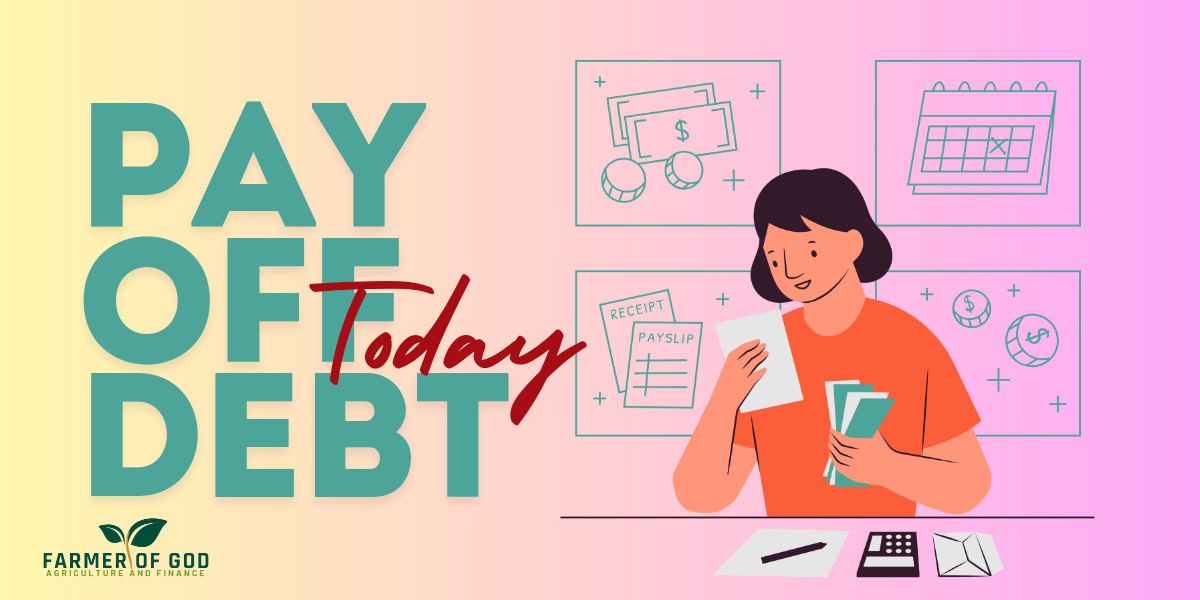 Pay off debt quickly and wisely