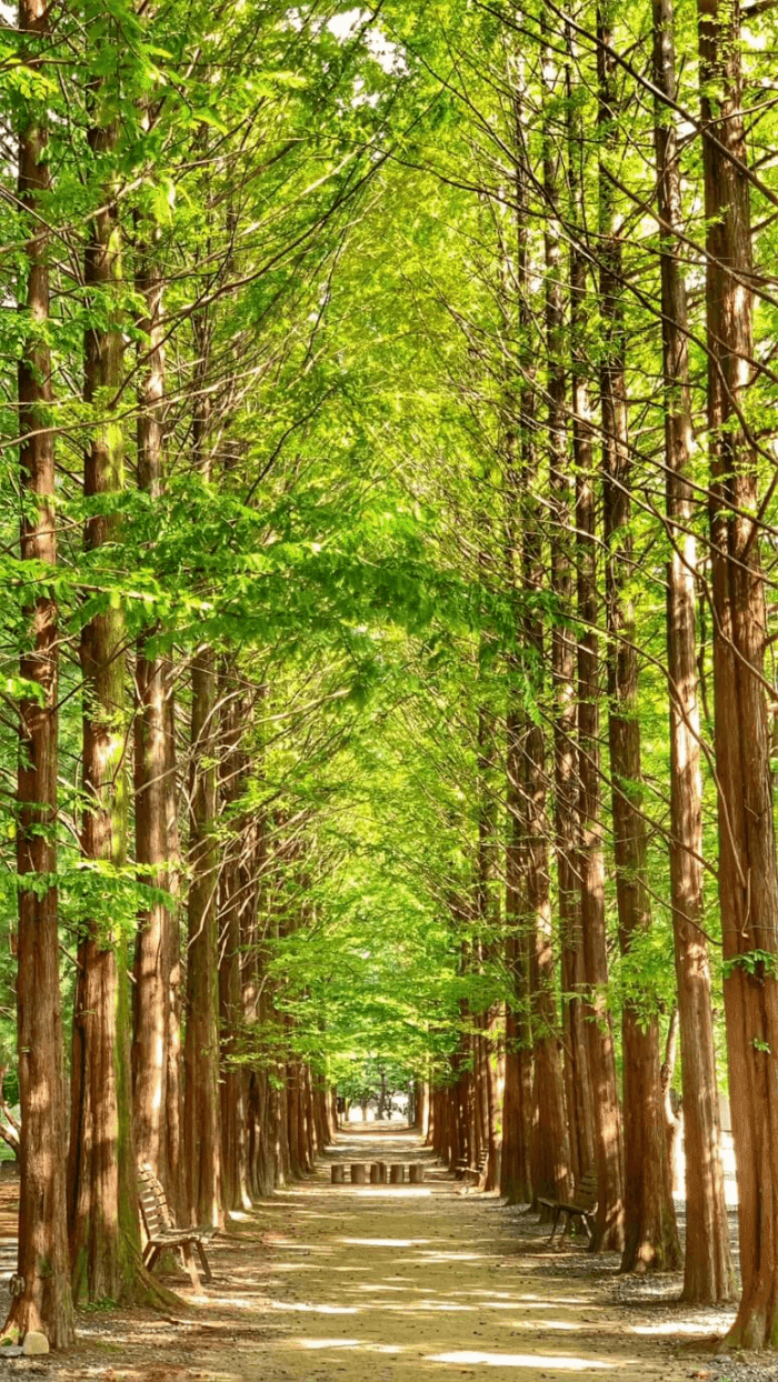 보보스캇