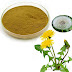 Natural Remedy;Medicinal benefits of Dandelion Root Powder.