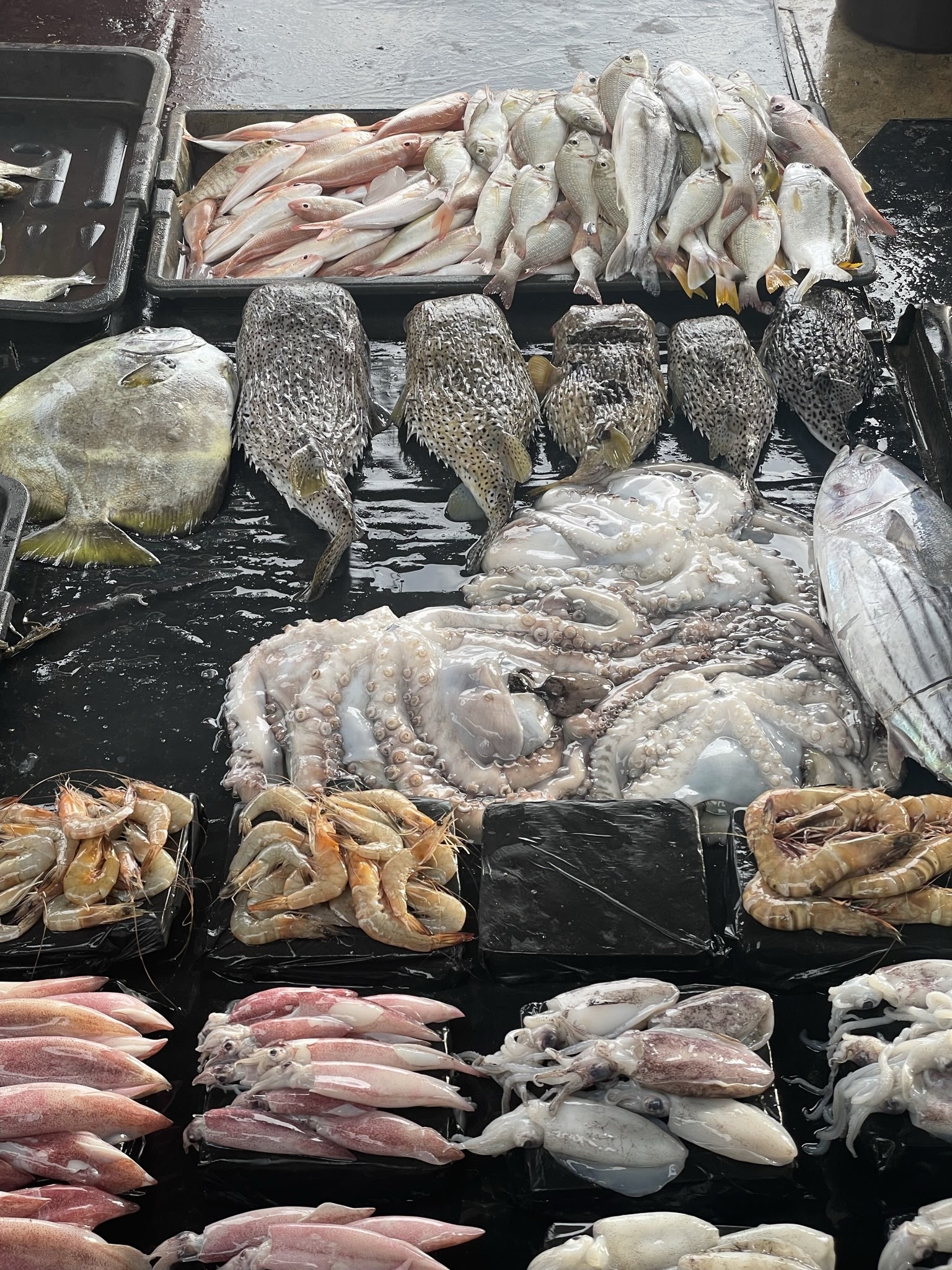 Sabah Trip, 2022: Seafood Hunting Di Semporna, Sabah