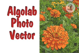 AlgoLab Photo Vector Free Download PkSoft92.com