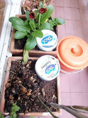 Micro-composters and a bucket