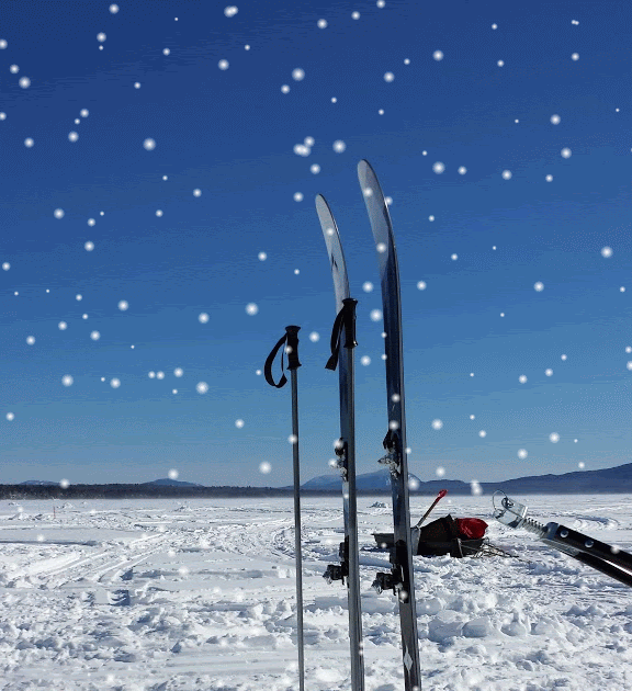 The Science of Winter Olympics Sports activities