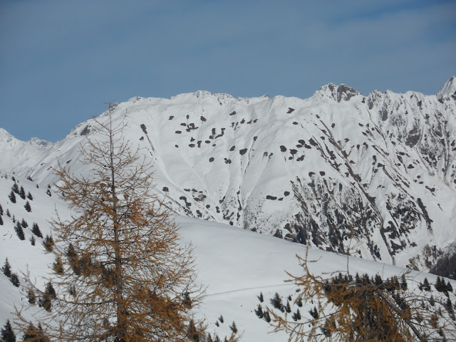 Valanghe di slittamento a Fundres, zona Schmansen. (Foto: Raimund Seebacher, 08.11.2021)