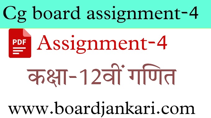 cg board assignment 4 class 12th maths solution november pdf,assignment 4 class 12 ganit answer