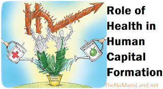 What is the role of health in human capital formation