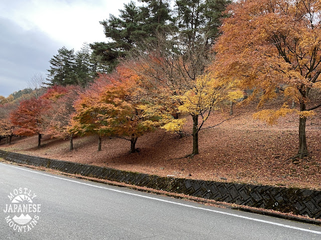 More fall leaves from Japan