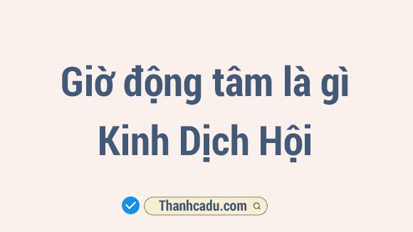 kinh dich hoi la gi, ngay ong tam la ngay gi, mai hoa dich so la gi, kinh dich hoi luan que covid, gieo que kinh dich hoi viec, kinh dich la gi, gieo que dich so