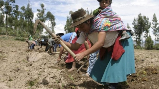 Pequeños agricultores accederán a más créditos con tasas preferenciales