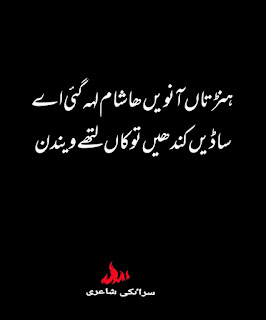saraiki poetry status, saraiki poetry about friendship, saraiki poetry by shakir, saraiki poetry black screen, saraiki badmashi poetry, saraiki best poetry,