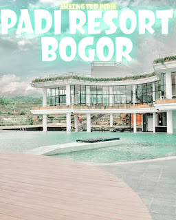Menikmati Keindahan Padi Resort Bogor Jawa Barat
