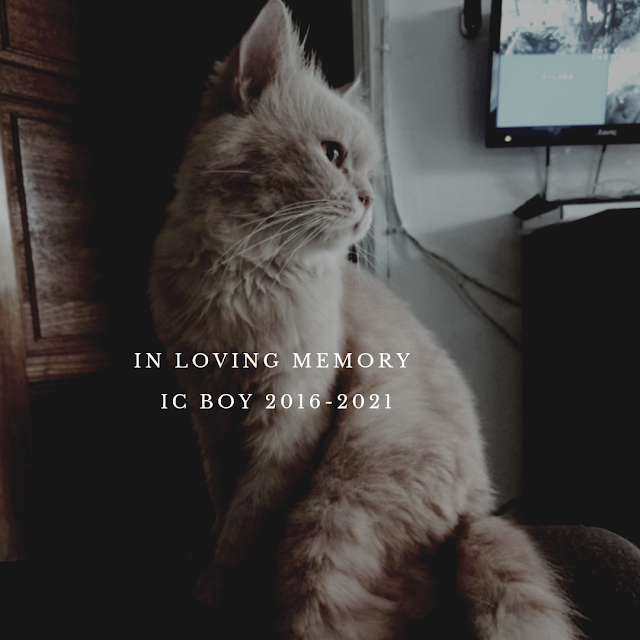 IC Boy Dalam Kenangan