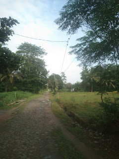 Rasa Kecewa Masyarakat Dusun 02  Tulung Dagang Kampung Lebuh Dalem Kec Menggala Timur Tuba  Tehadap PLN.