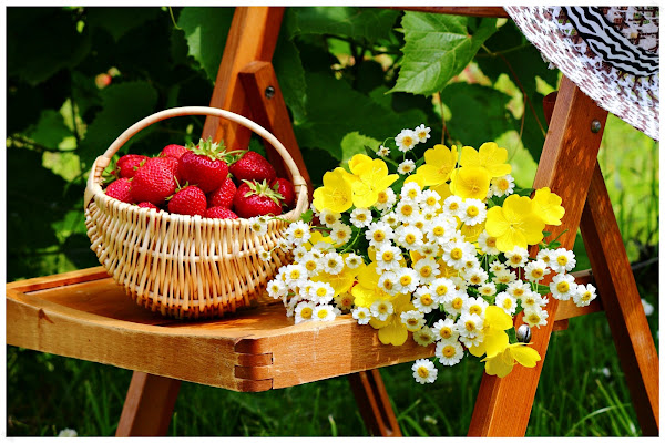 Фото лета в России / Photo of summer in Russia