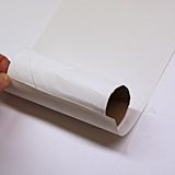 Cardboard Tube Polar Bear 1