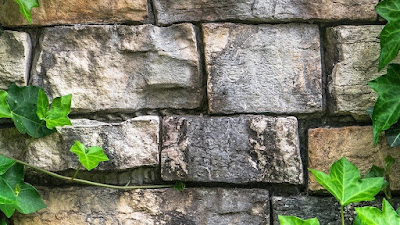 A stone wall covered with ivy.